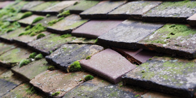 Chieveley roof repair costs